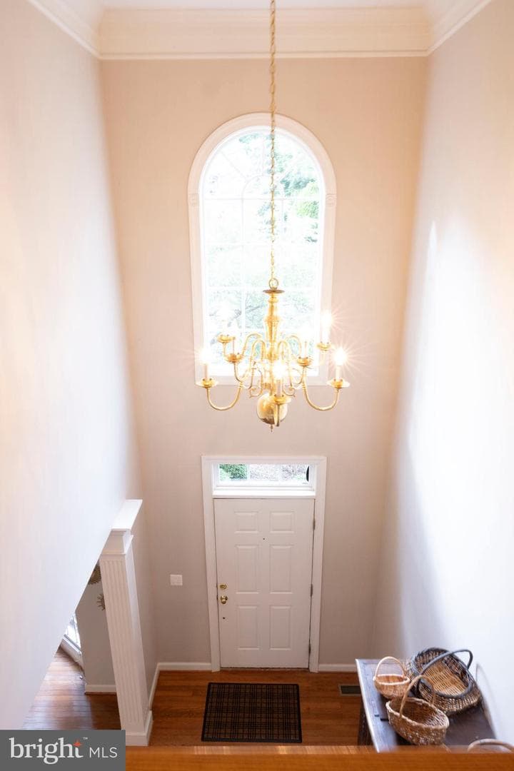 8621 James Creek Drive photo 25