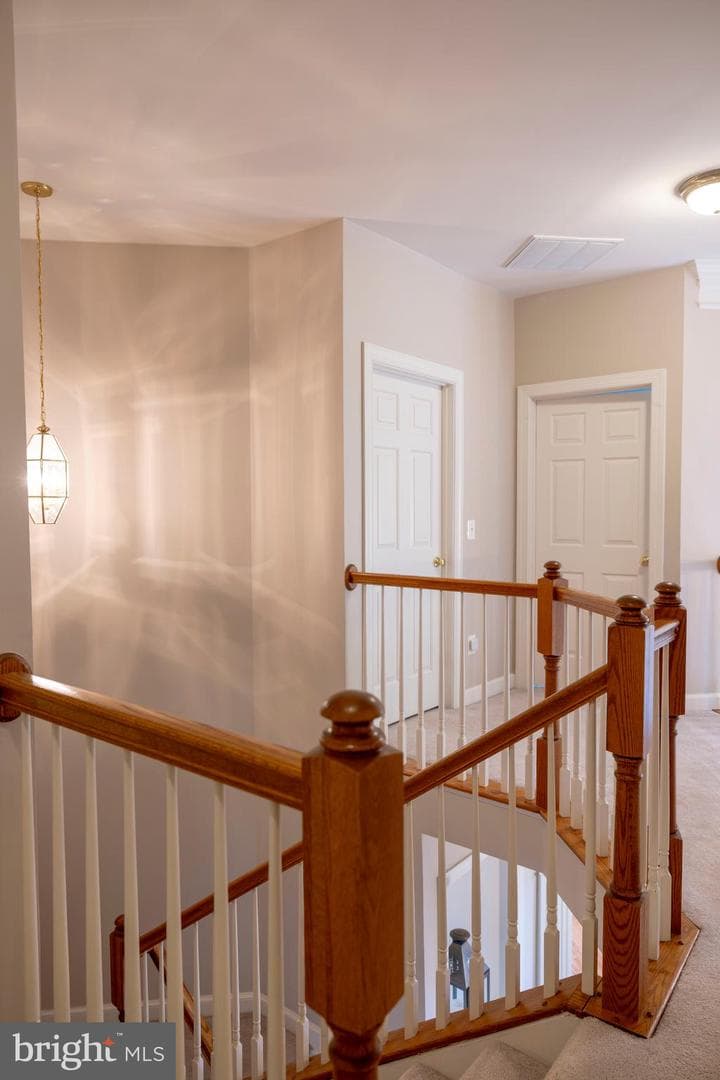 8621 James Creek Drive photo 44