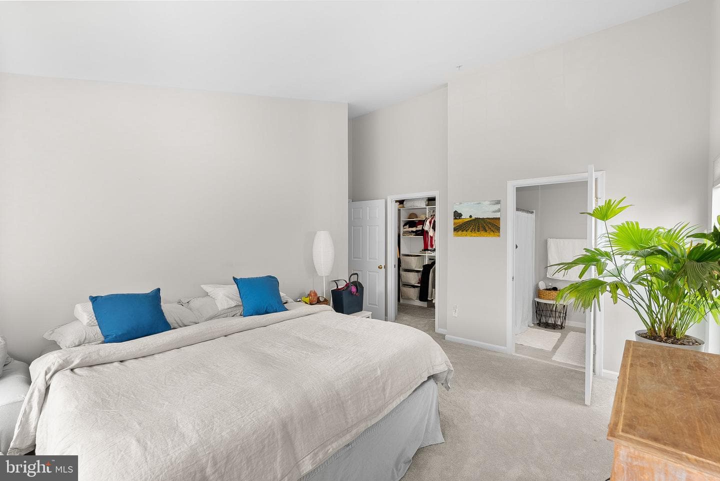7515 Snowpea Court #168 photo 18