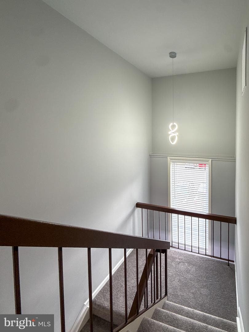 3036 Virginia Dare Court photo 18
