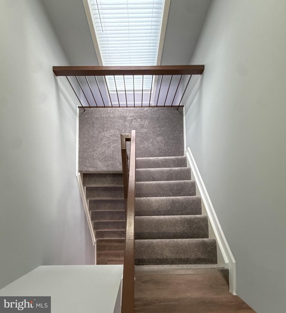 3036 Virginia Dare Court photo 19