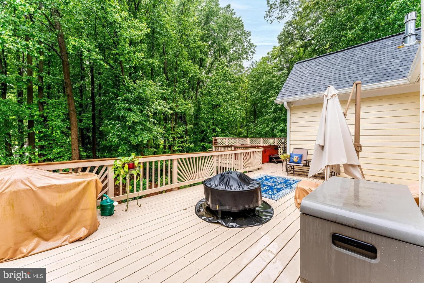 11709 Pine Tree Drive photo 27