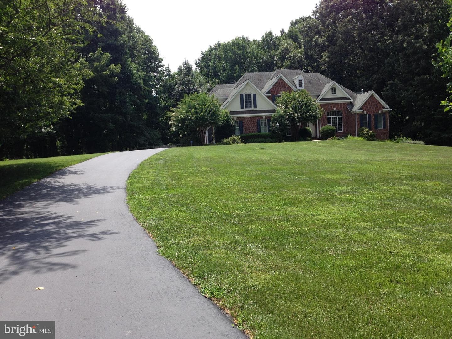 11709 Pine Tree Drive photo 48