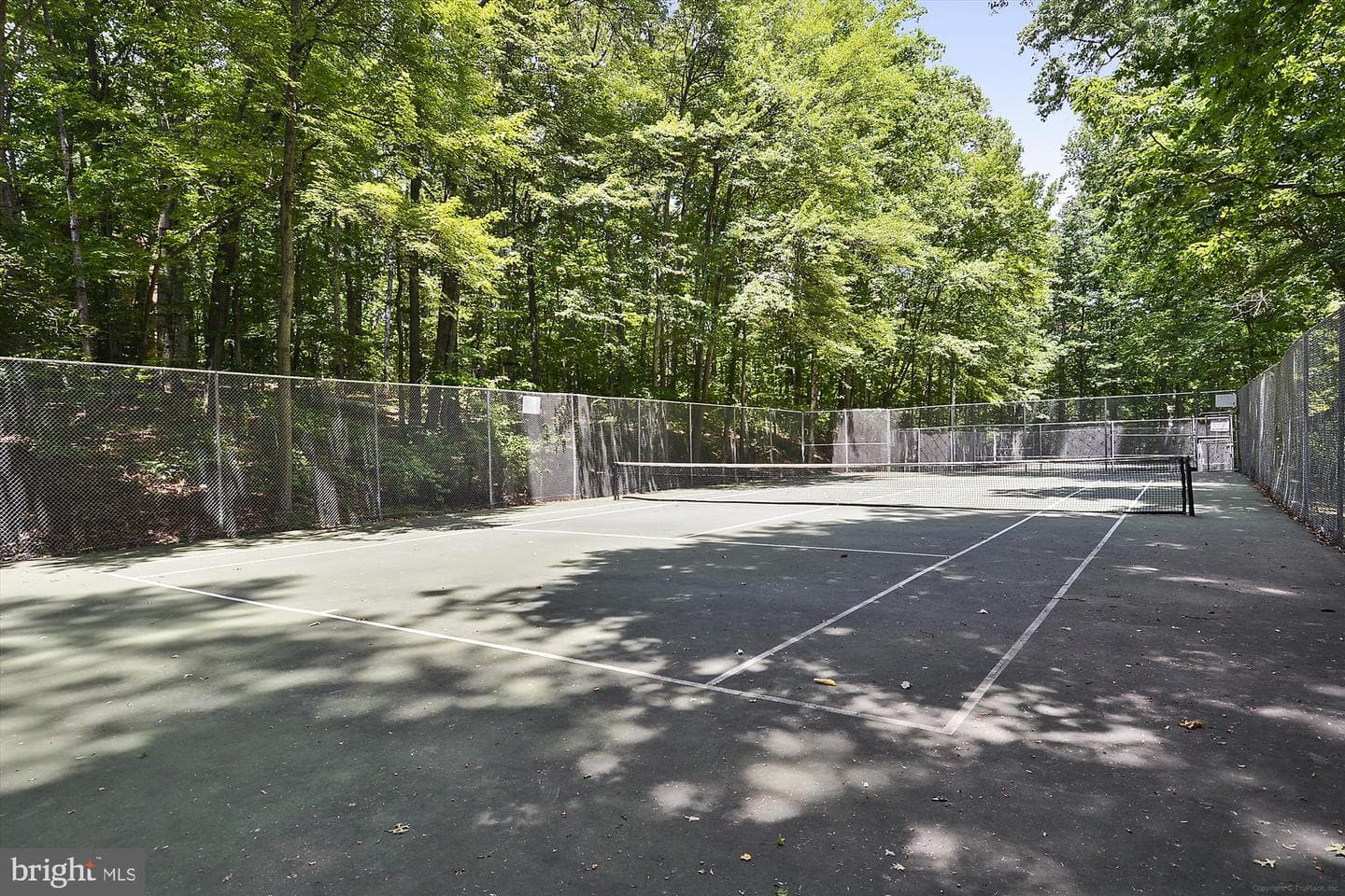 11910 Saint Johnsbury Court photo 58