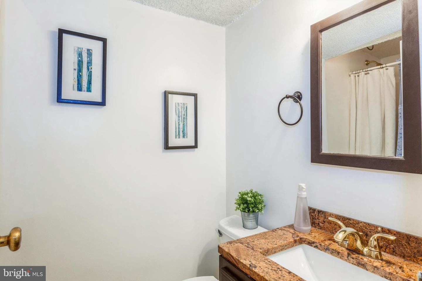 11833 Shire Court #12c photo 20