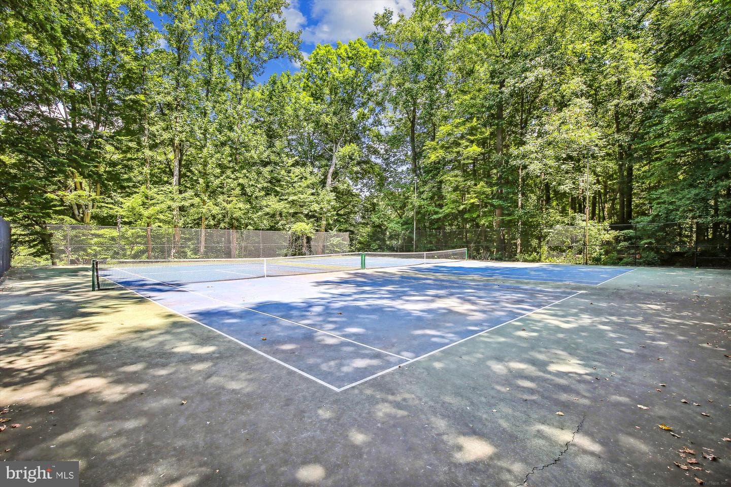 5420 Eastbourne Drive photo 51