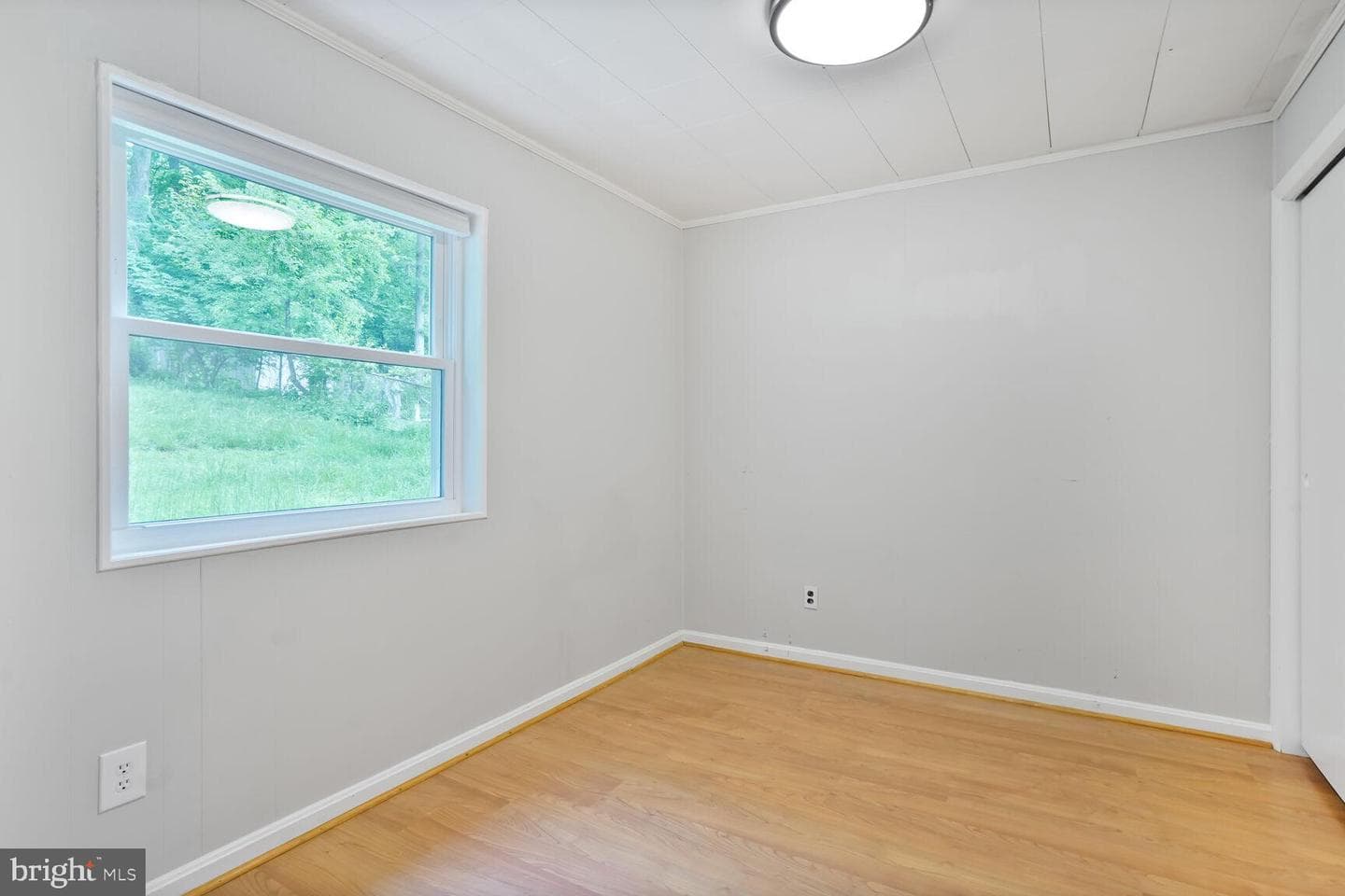 11106 Byrd Drive photo 22