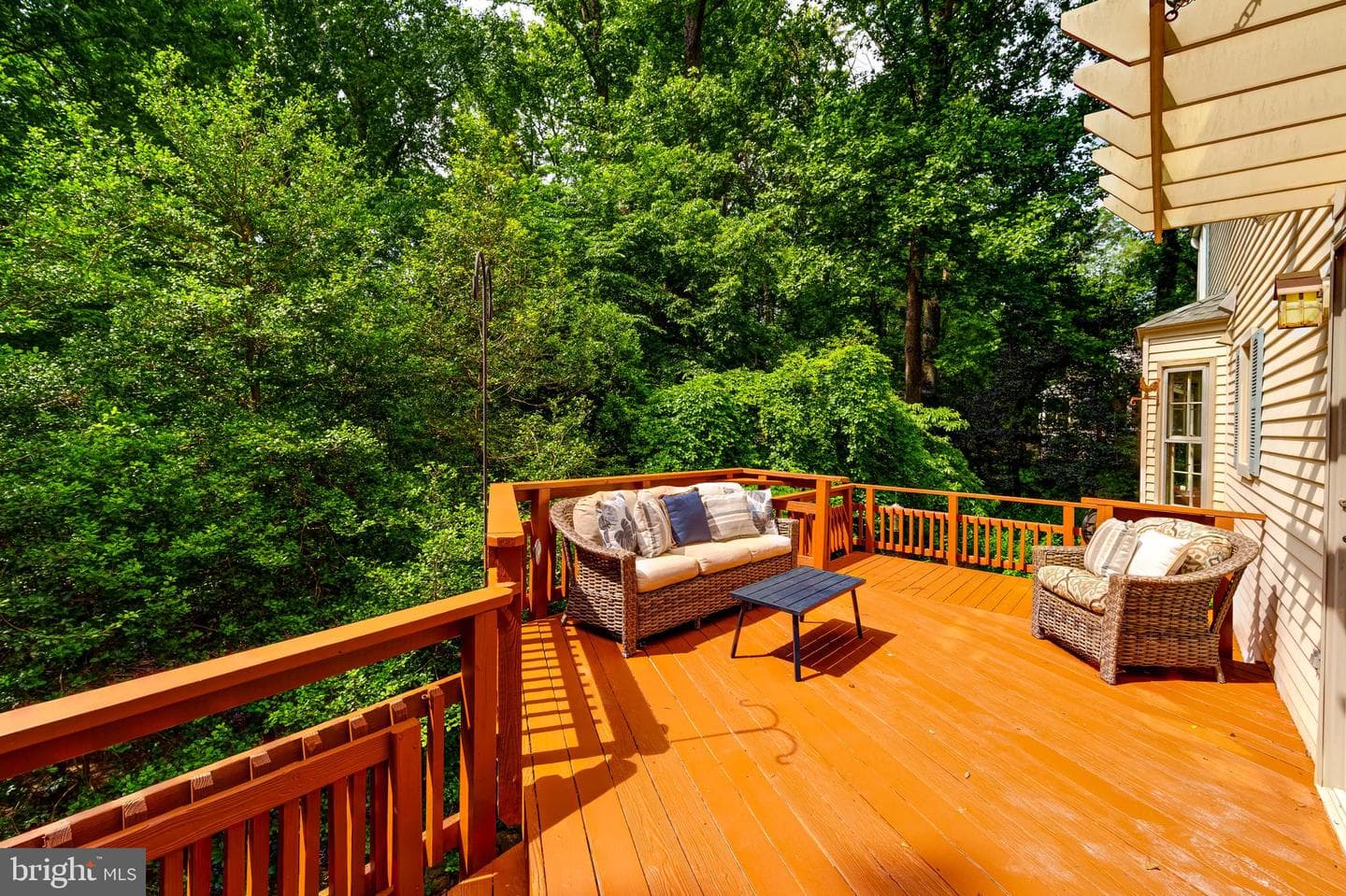 12209 Lake James Drive photo 61