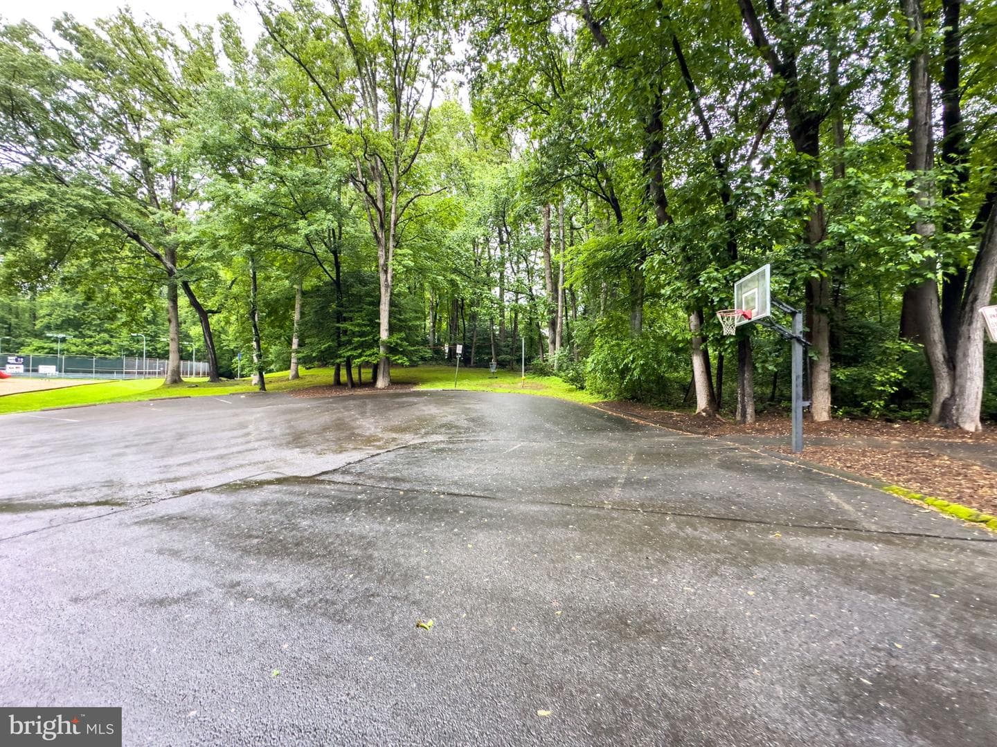 2624 Black Fir Court photo 46