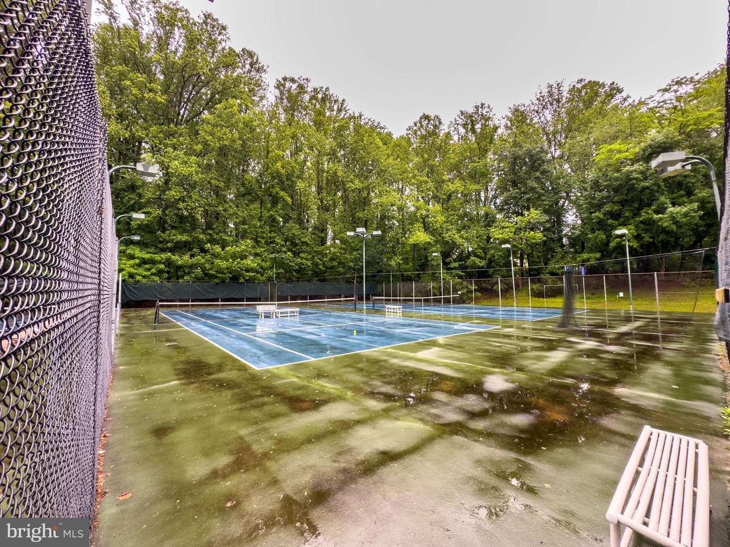 2624 Black Fir Court photo 49