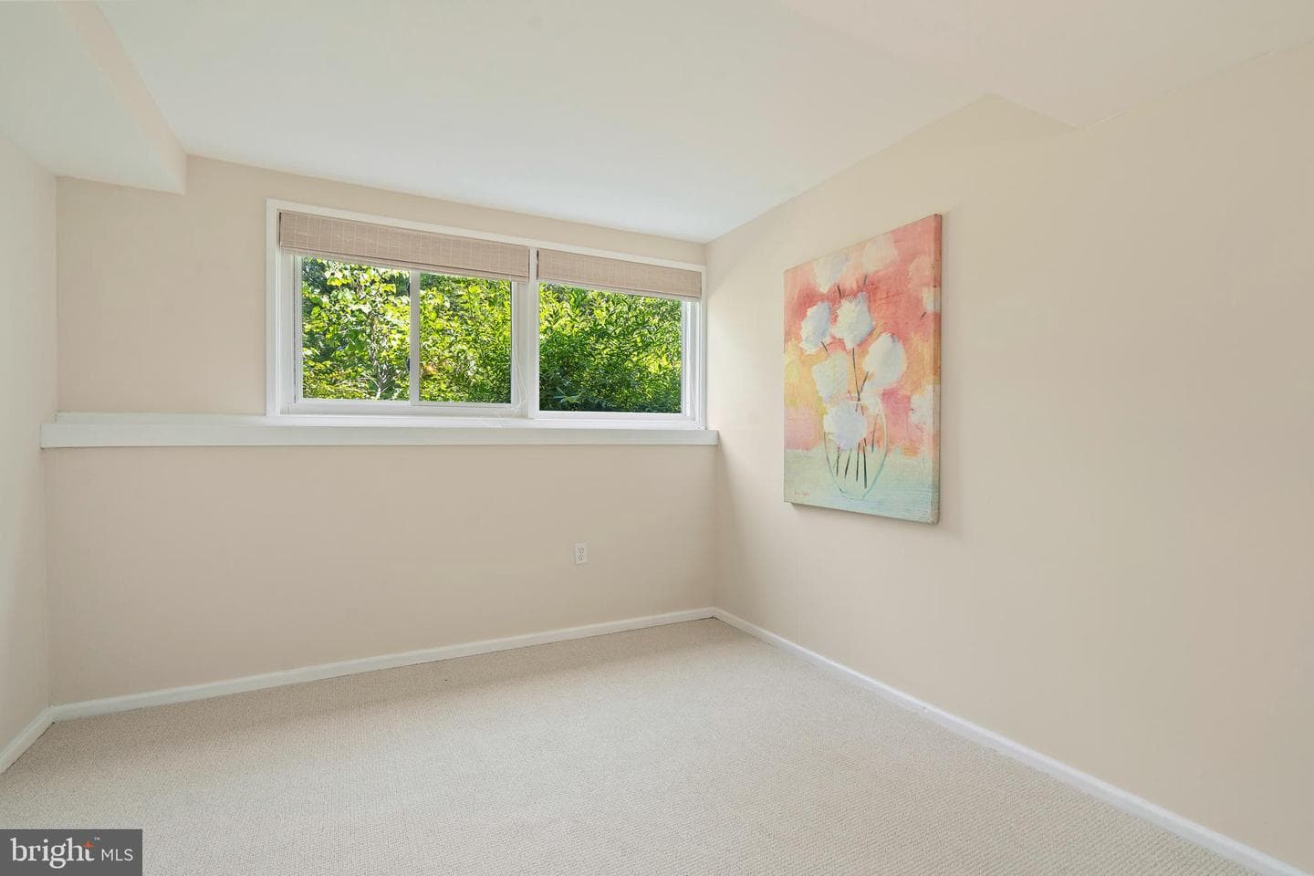 4006 Javins Drive photo 19