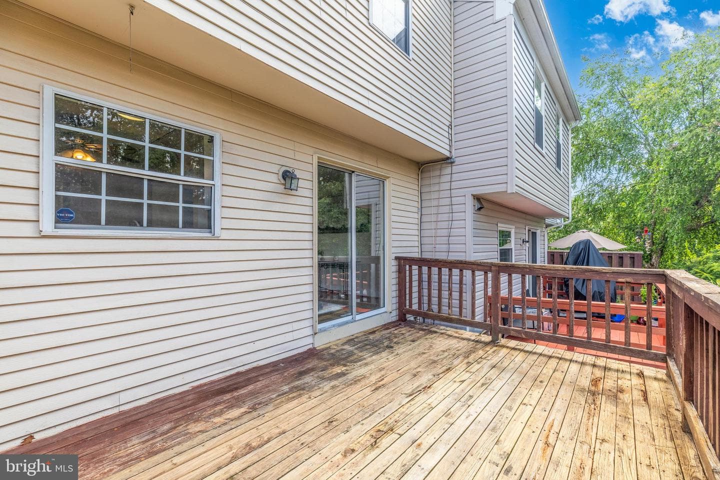 14906 Lady Madonna Court photo 16