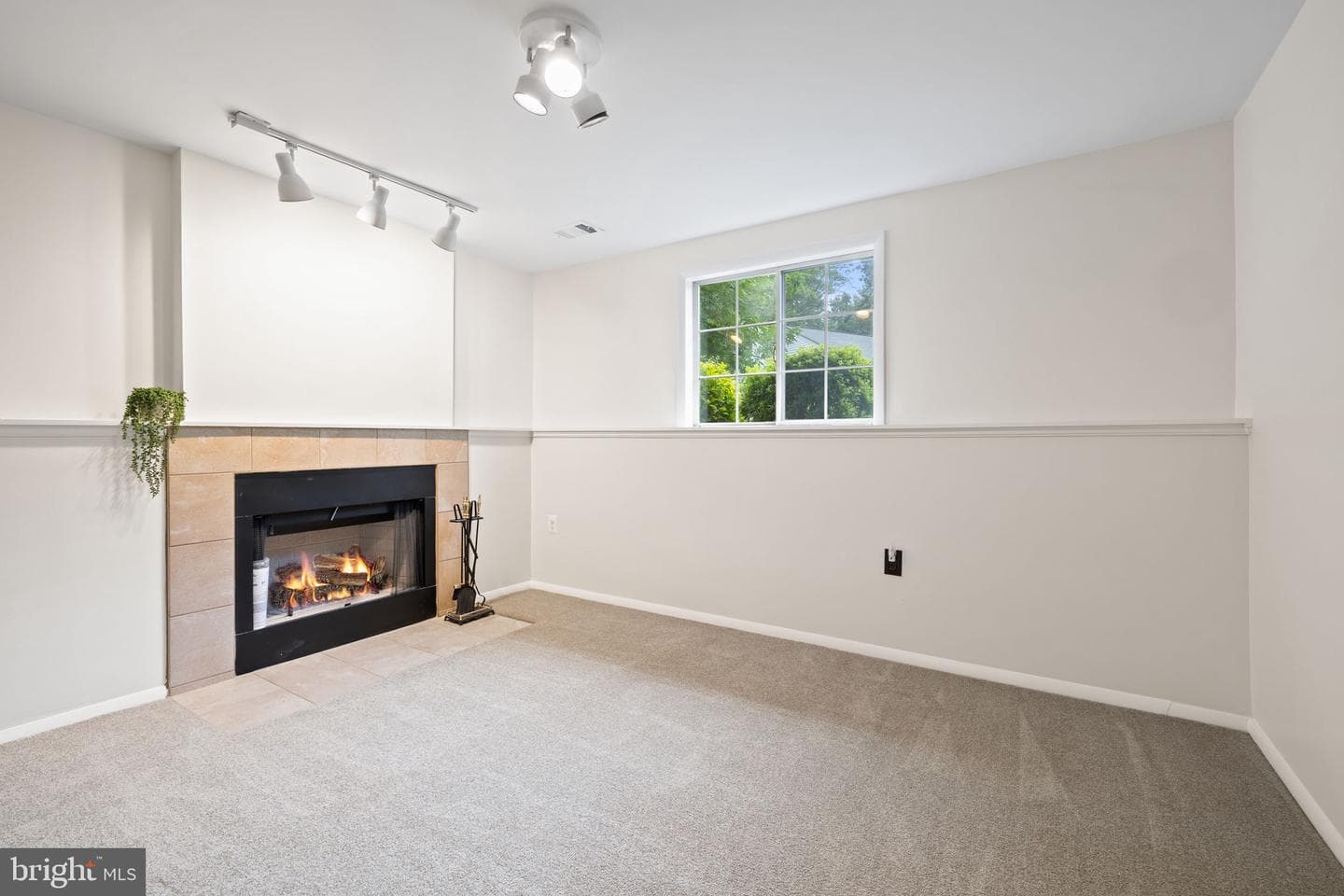 10729 Freds Oak Court photo 19