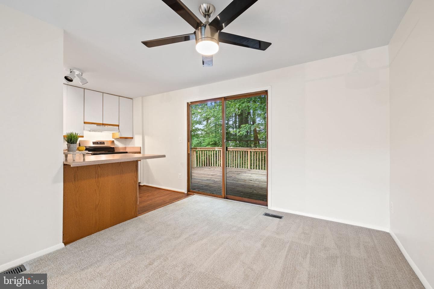 10729 Freds Oak Court photo 7