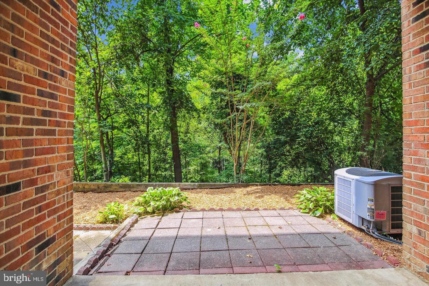 3744 Madison Lane photo 24