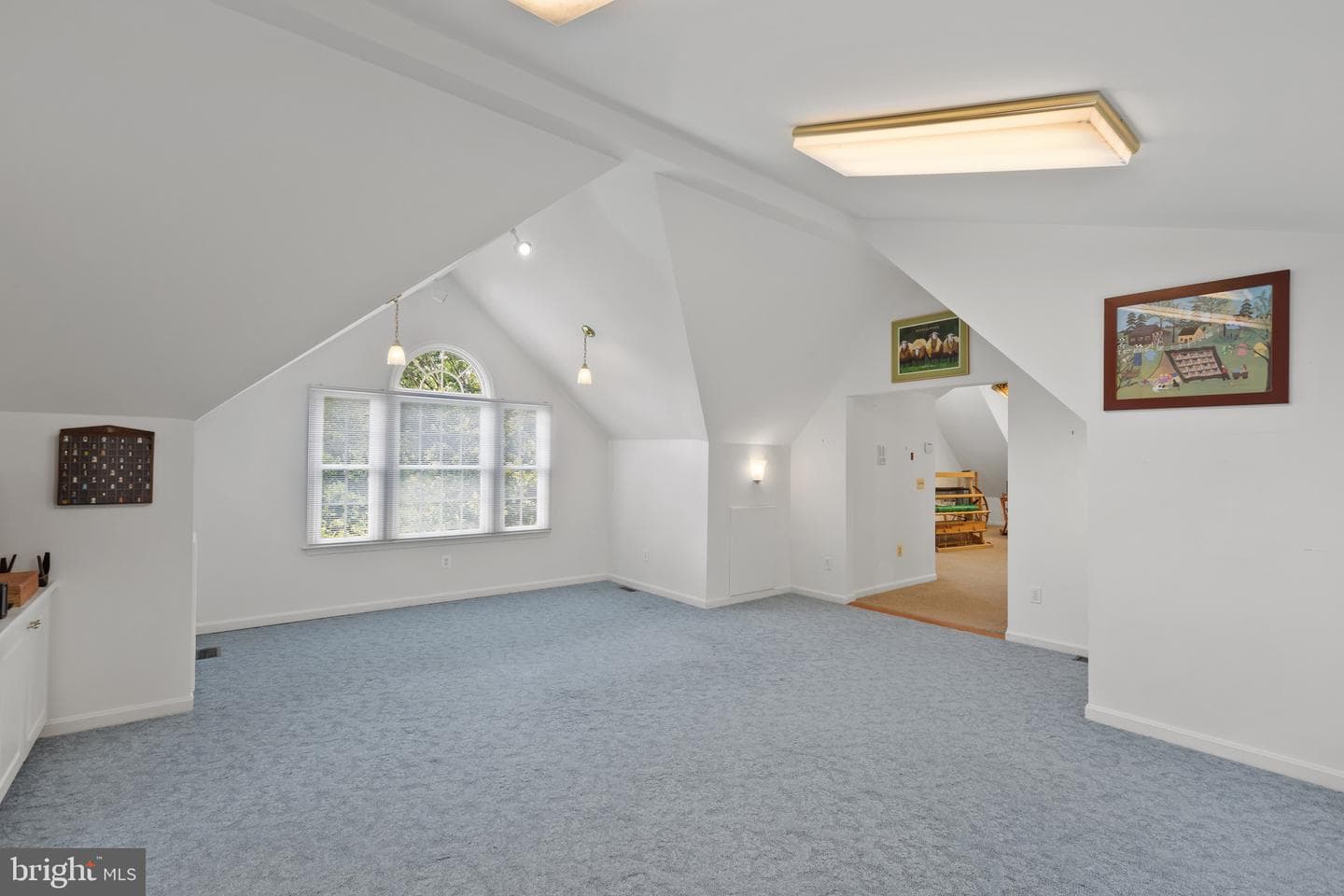 13893 Walney Park Drive photo 49