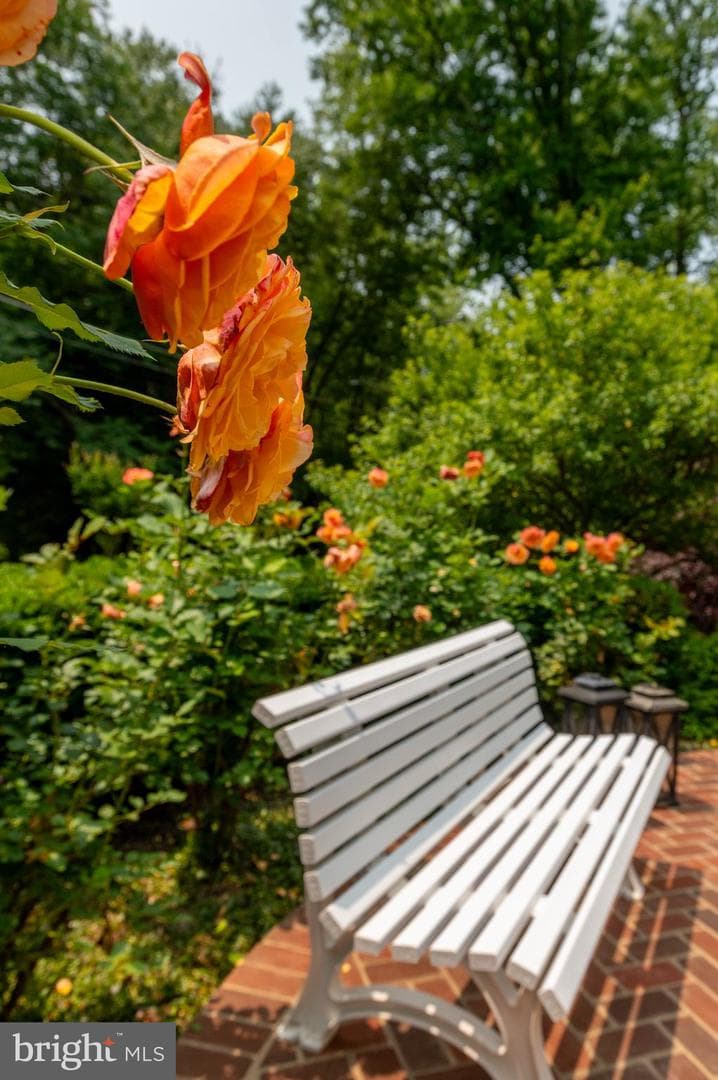 6804 Benjamin Street photo 80