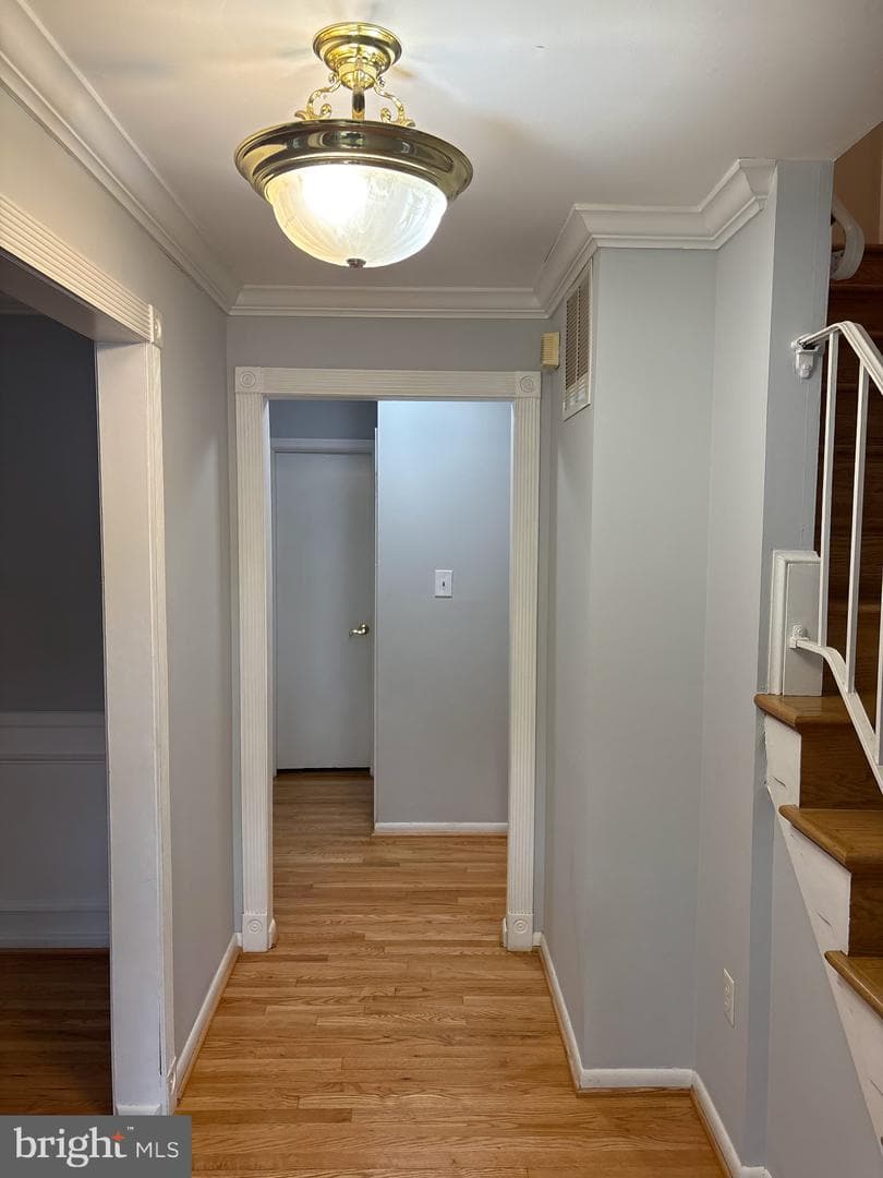 8322 Cushing Court photo 4