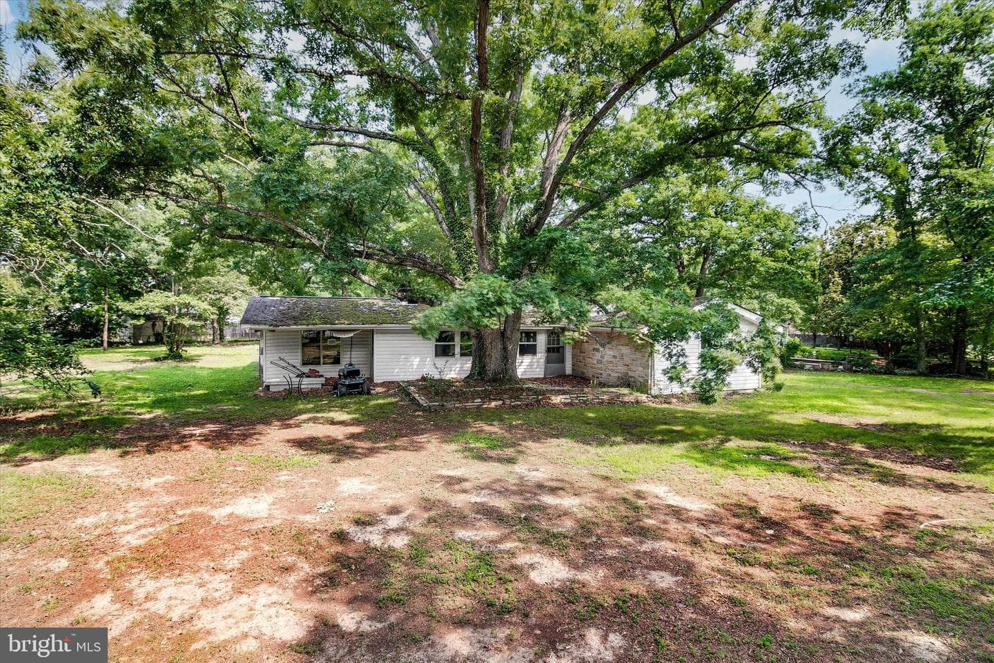 7626 Wiley Drive photo 3