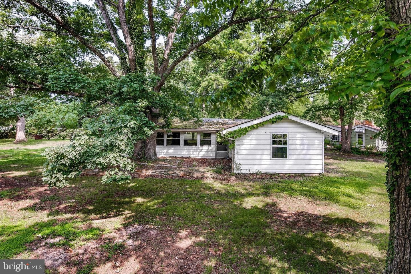 7626 Wiley Drive photo 6