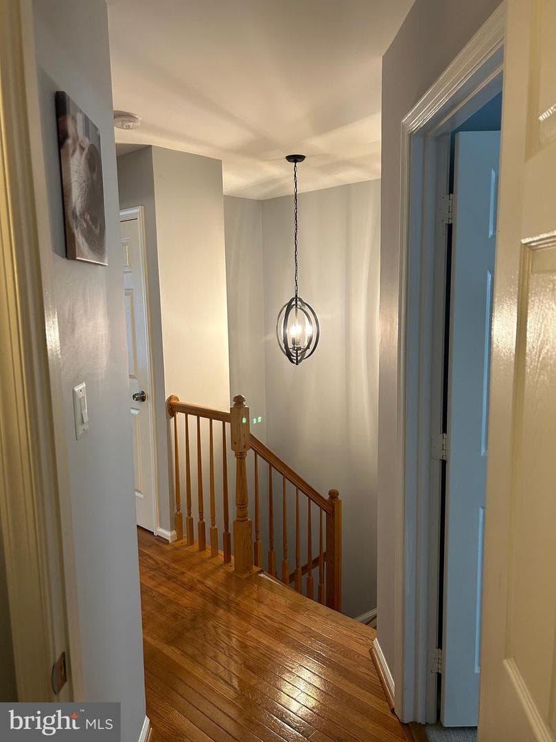8726 Wadebrook Terrace photo 32