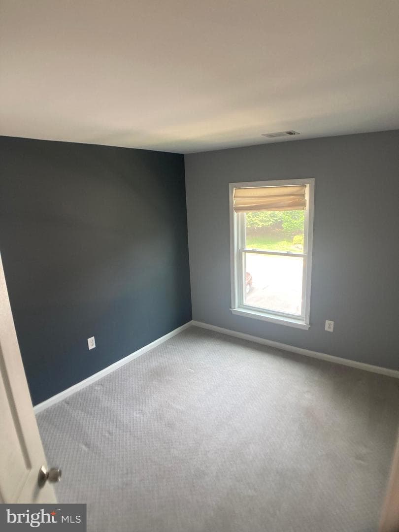 8726 Wadebrook Terrace photo 33