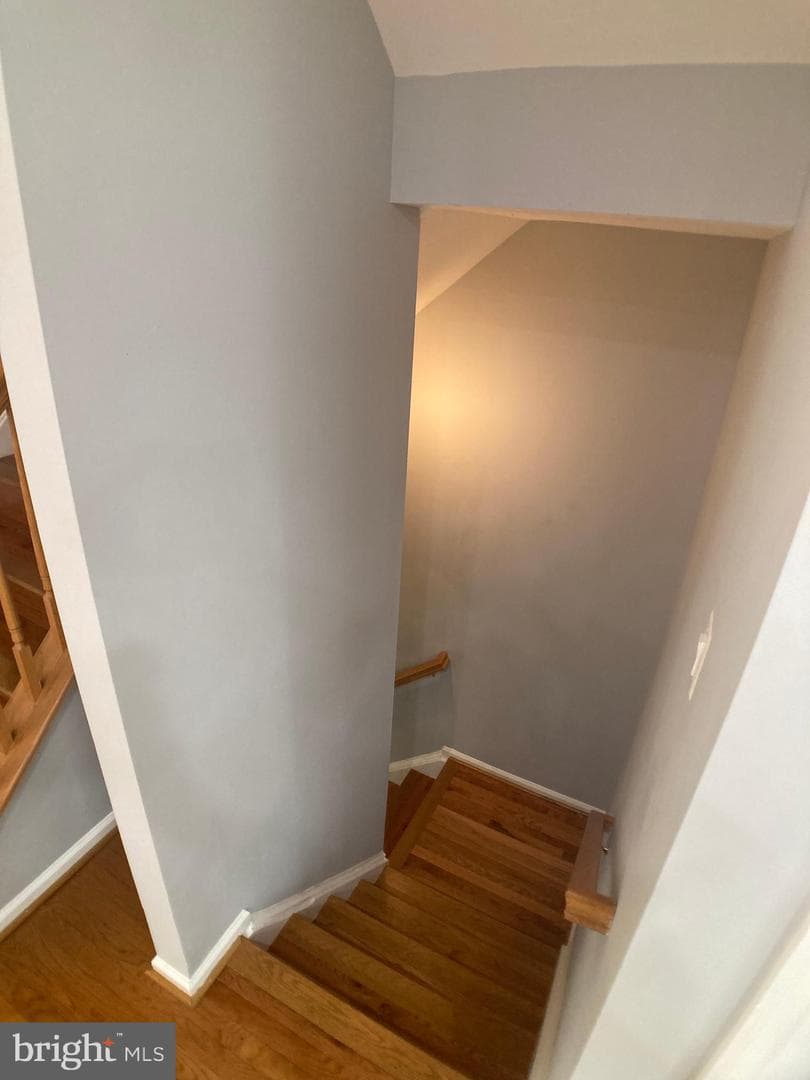8726 Wadebrook Terrace photo 60