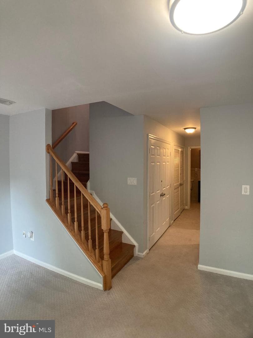 8726 Wadebrook Terrace photo 71