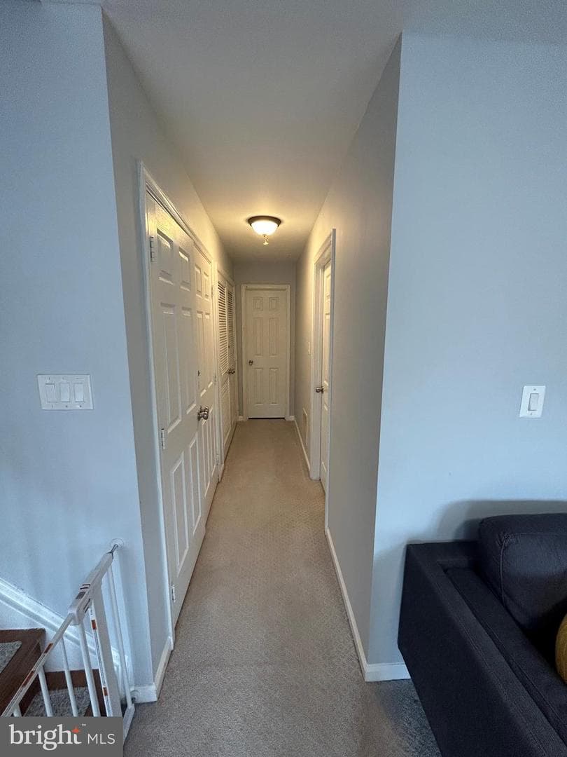 8726 Wadebrook Terrace photo 73