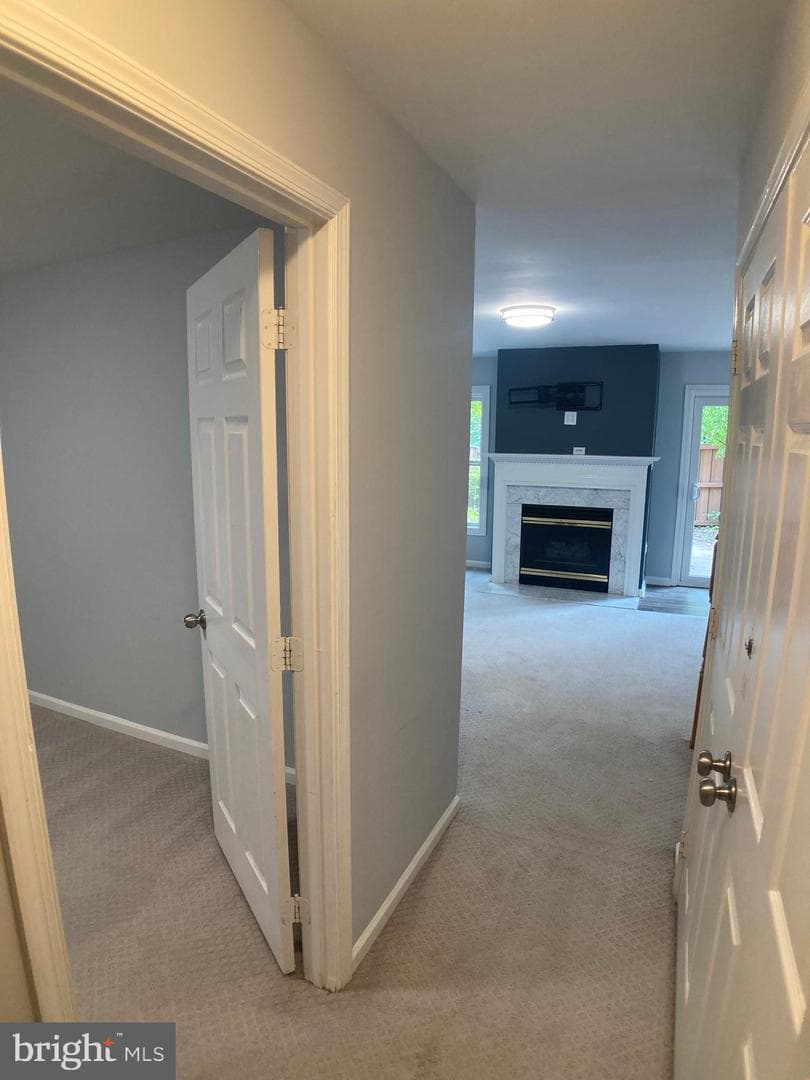 8726 Wadebrook Terrace photo 74