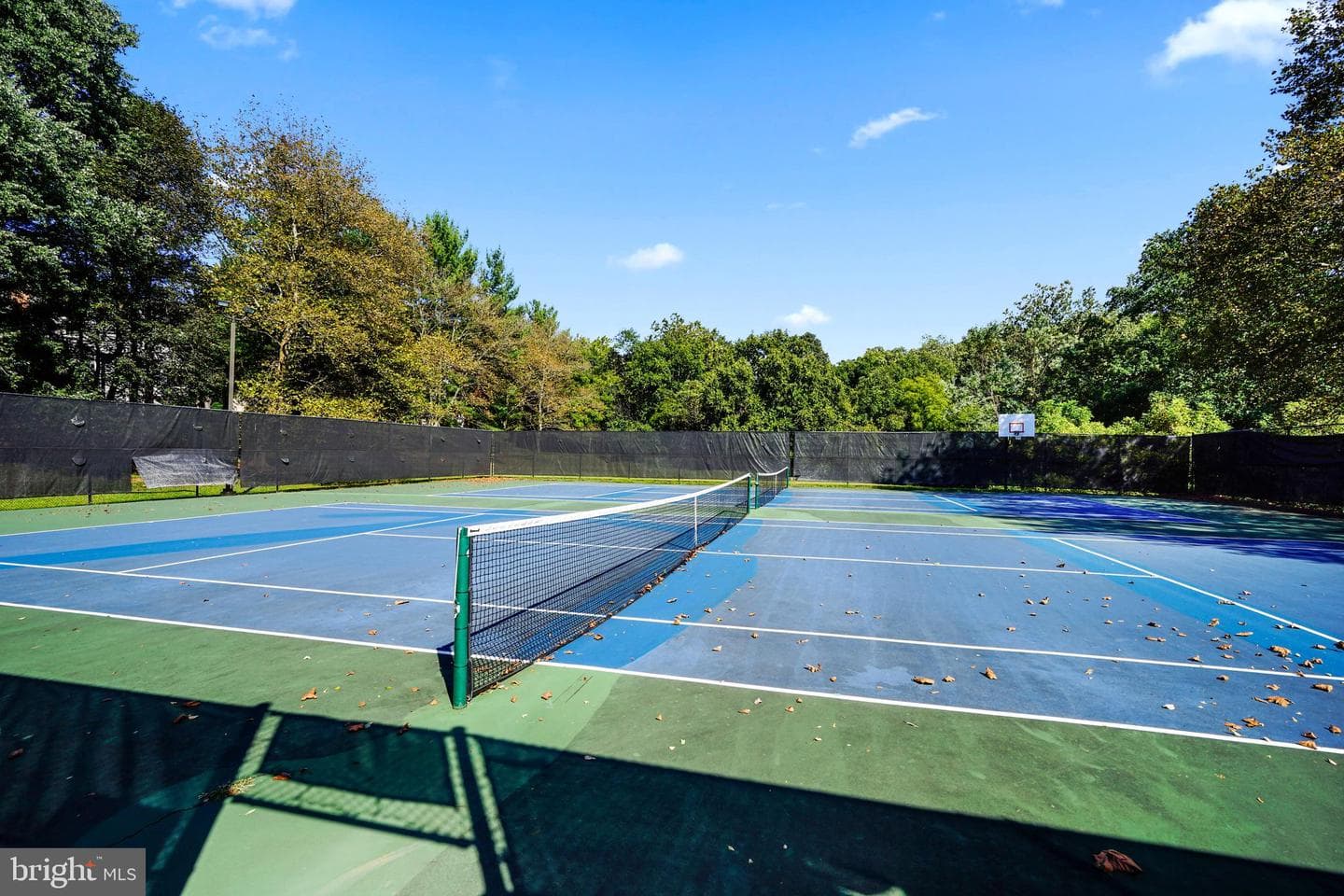 13210 Custom House Court photo 45