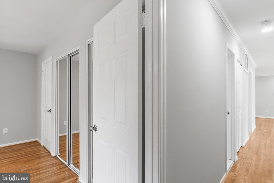 1121 Collingwood Road photo 33