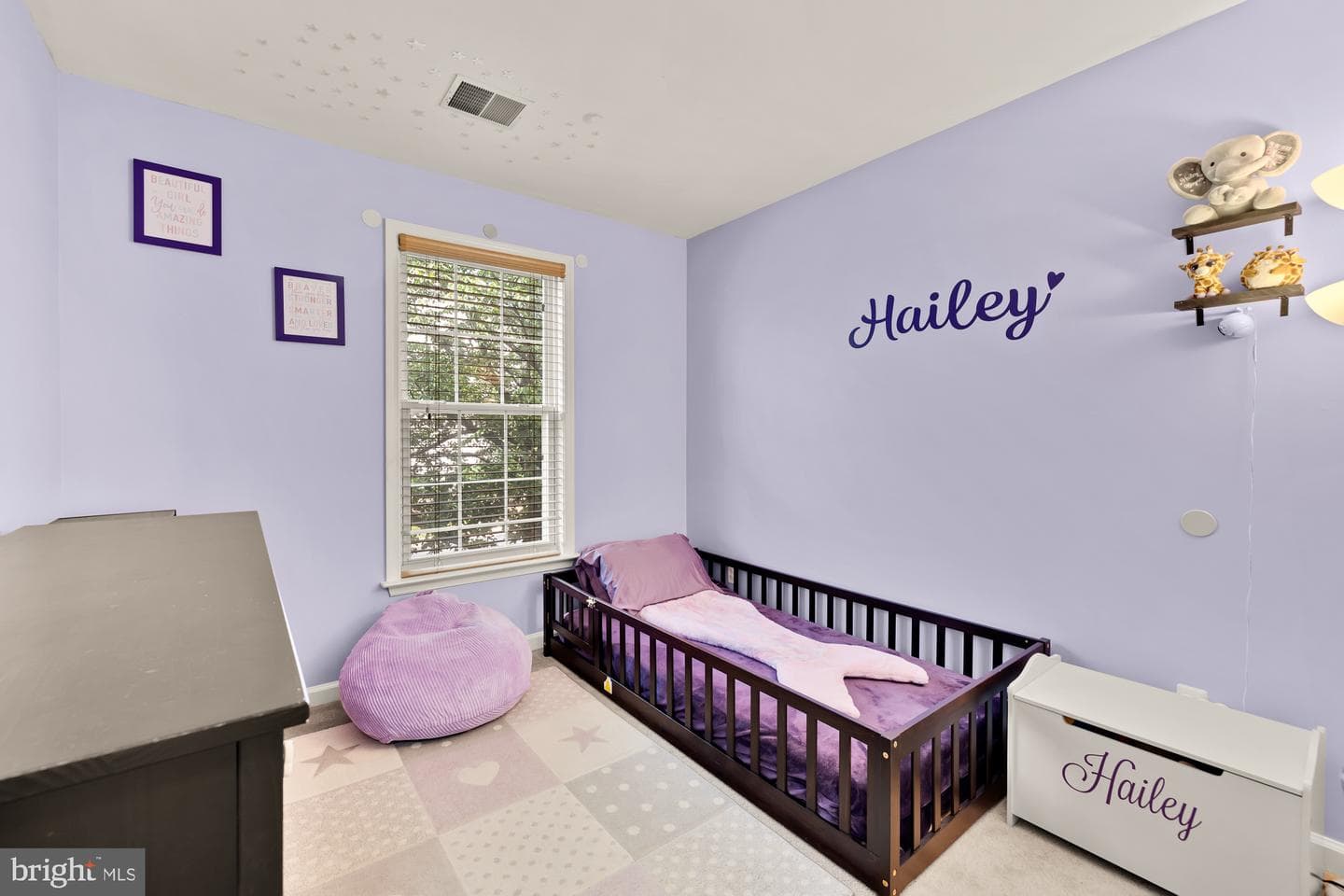 6337 Burgundy Leaf Lane photo 28