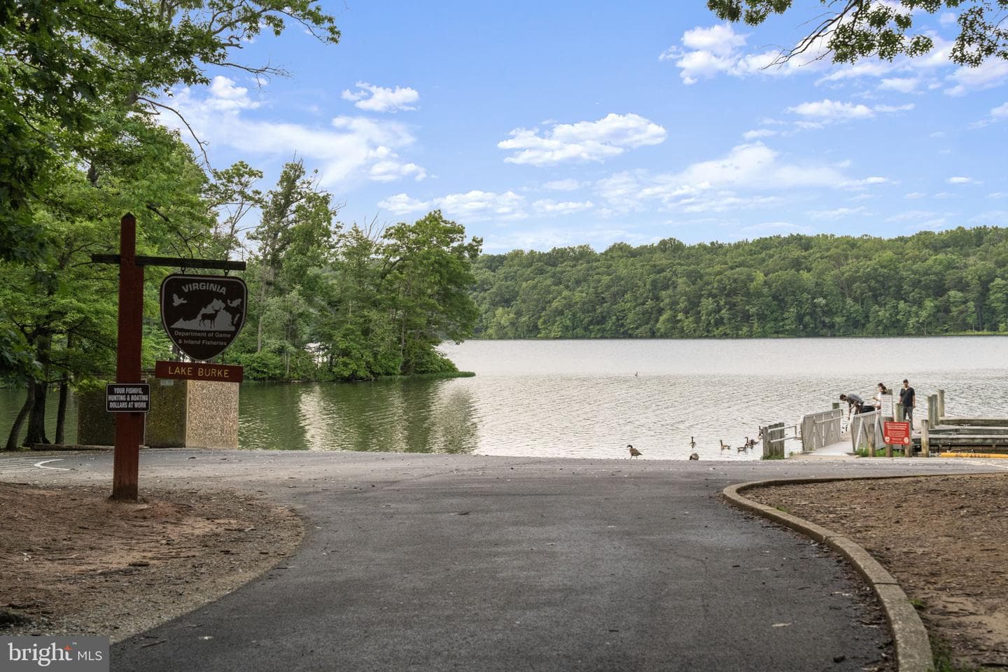 10034 Park Woods Lane photo 65