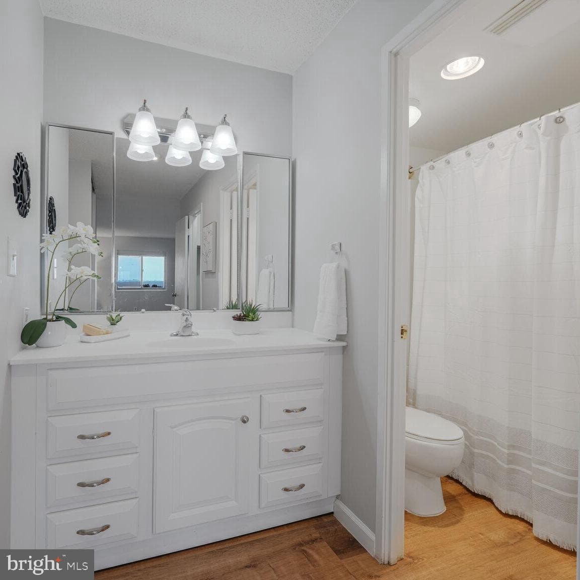 5902 Mount Eagle Drive #1209 photo 16