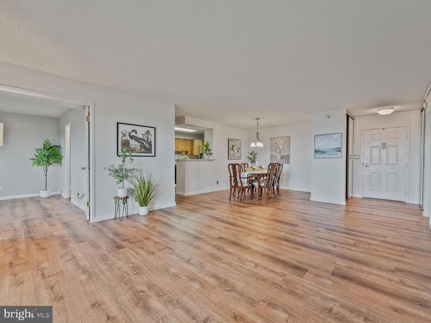 5902 Mount Eagle Drive #1209 photo 8