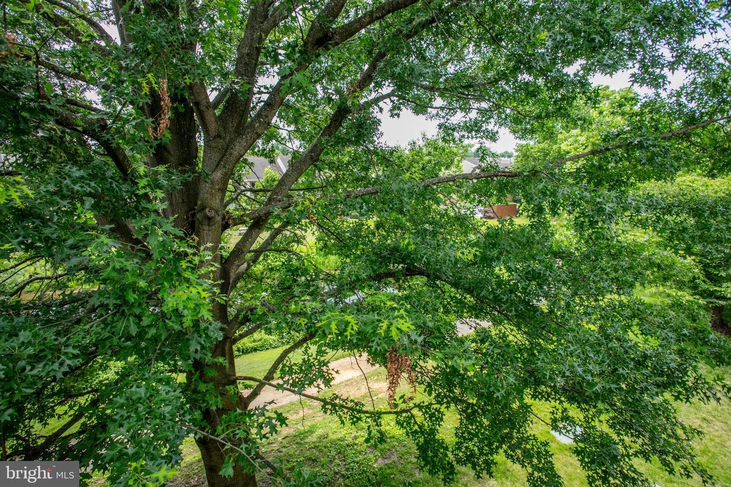 6904 Mary Caroline Circle #l photo 17