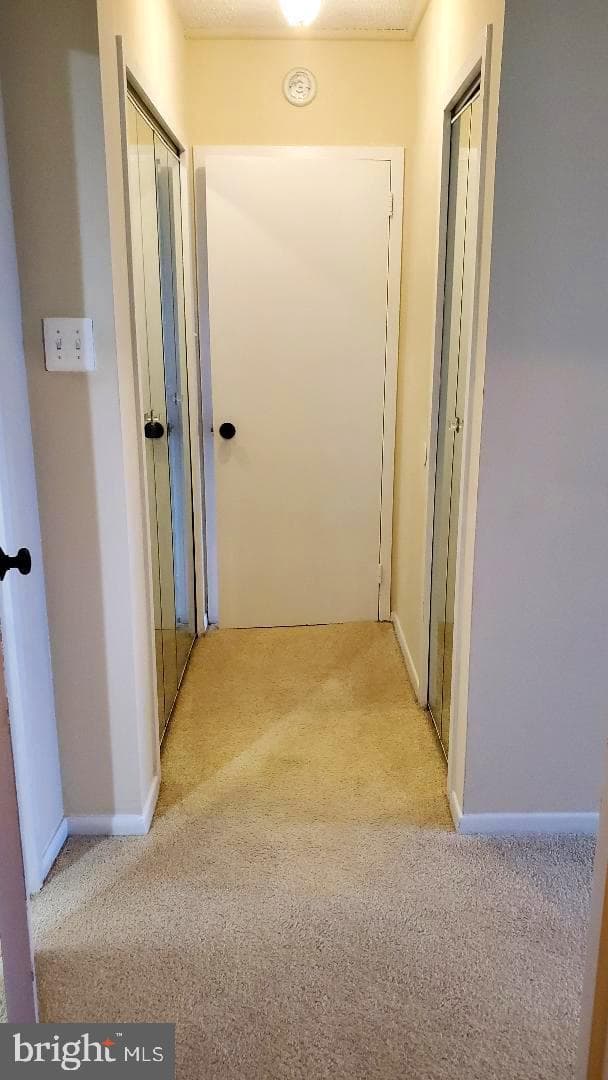 3705 S George Mason Drive #1311 photo 10