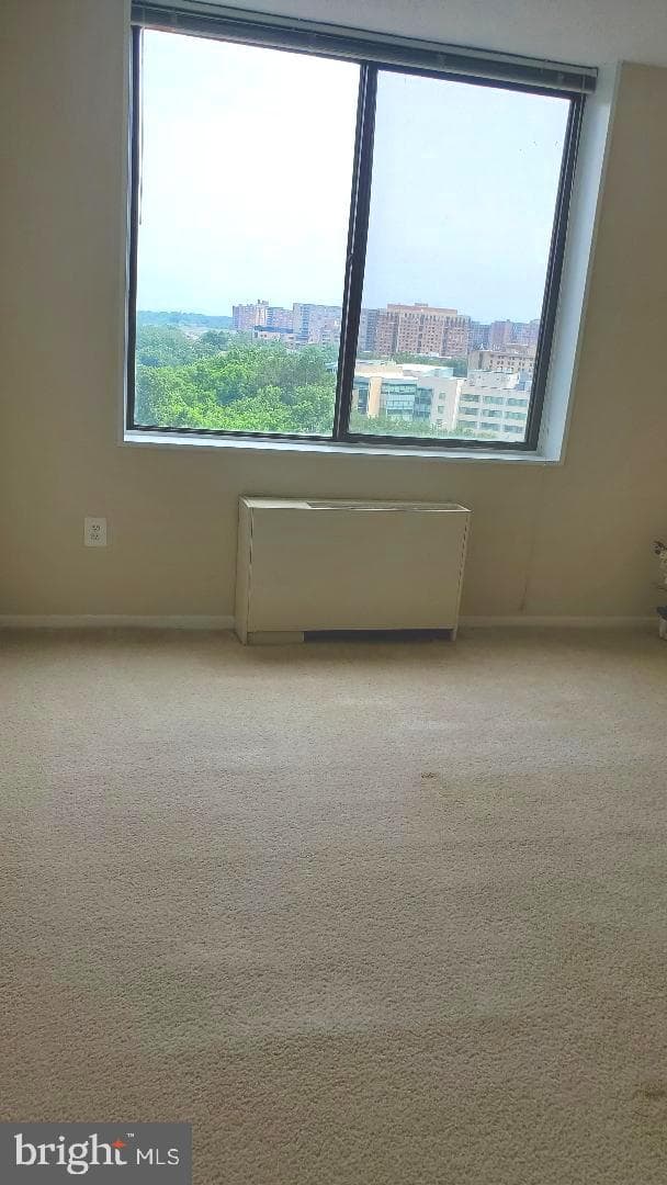 3705 S George Mason Drive #1311 photo 3