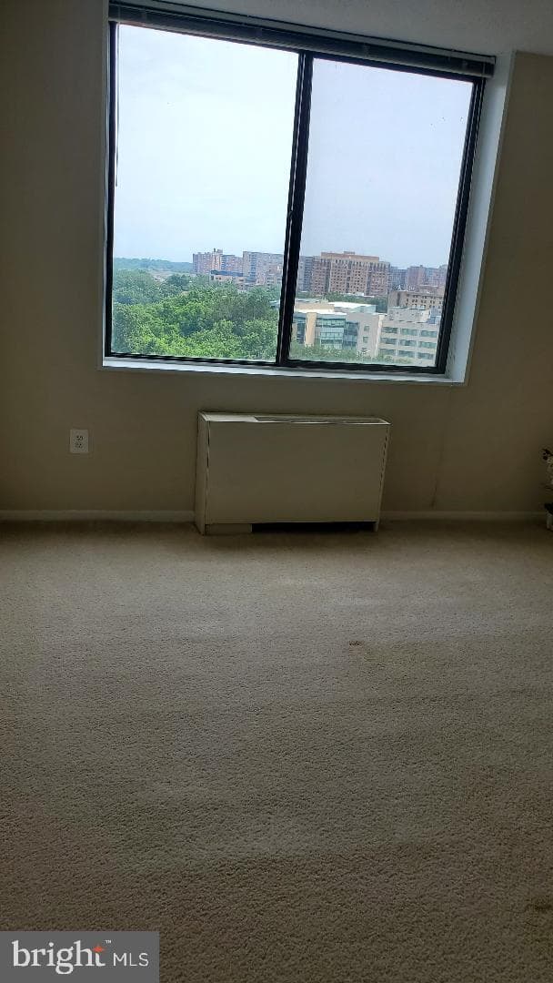 3705 S George Mason Drive #1311 photo 36