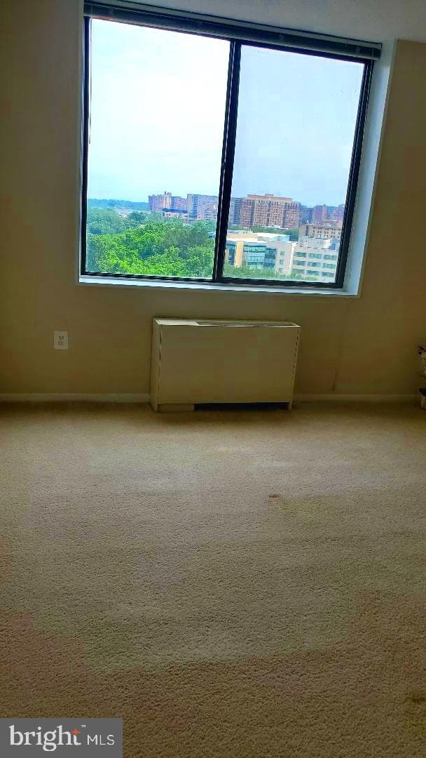 3705 S George Mason Drive #1311 photo 4