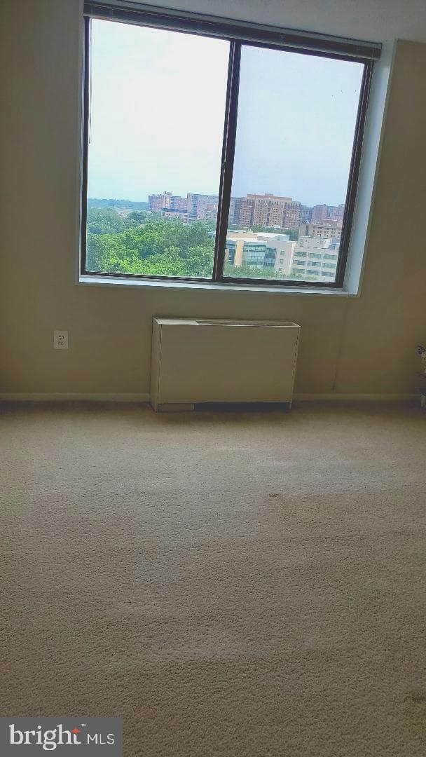 3705 S George Mason Drive #1311 photo 5