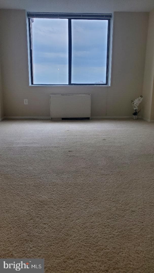 3705 S George Mason Drive #1311 photo 7