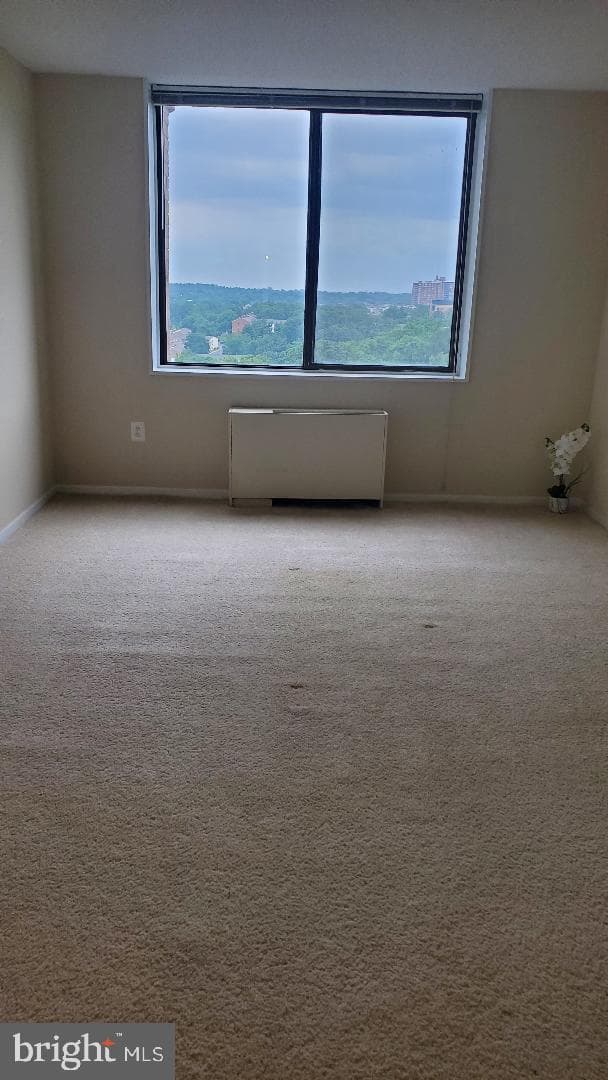 3705 S George Mason Drive #1311 photo 8