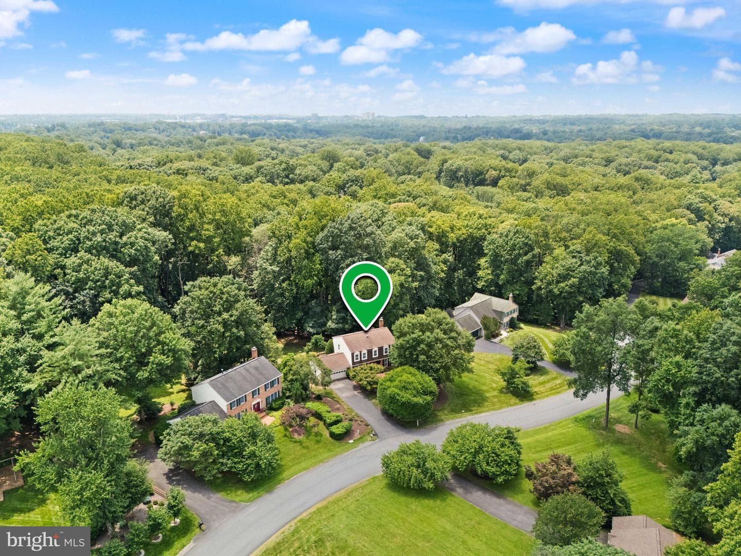 10912 Blue Roan Road photo 101