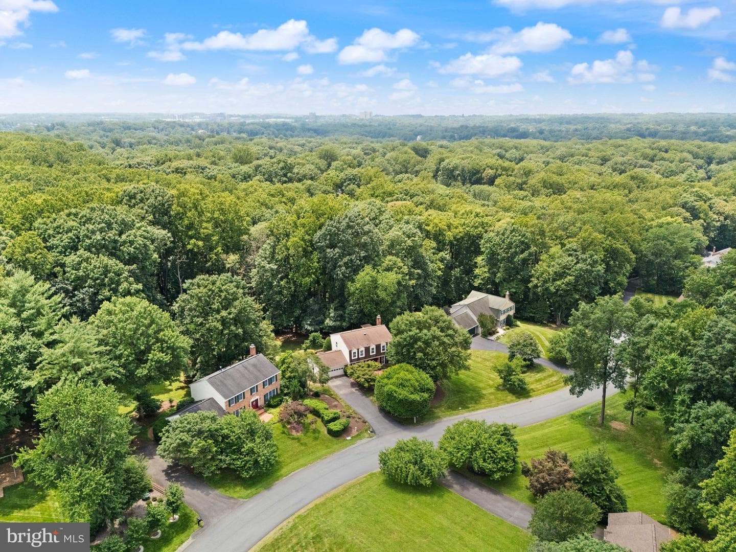 10912 Blue Roan Road photo 102
