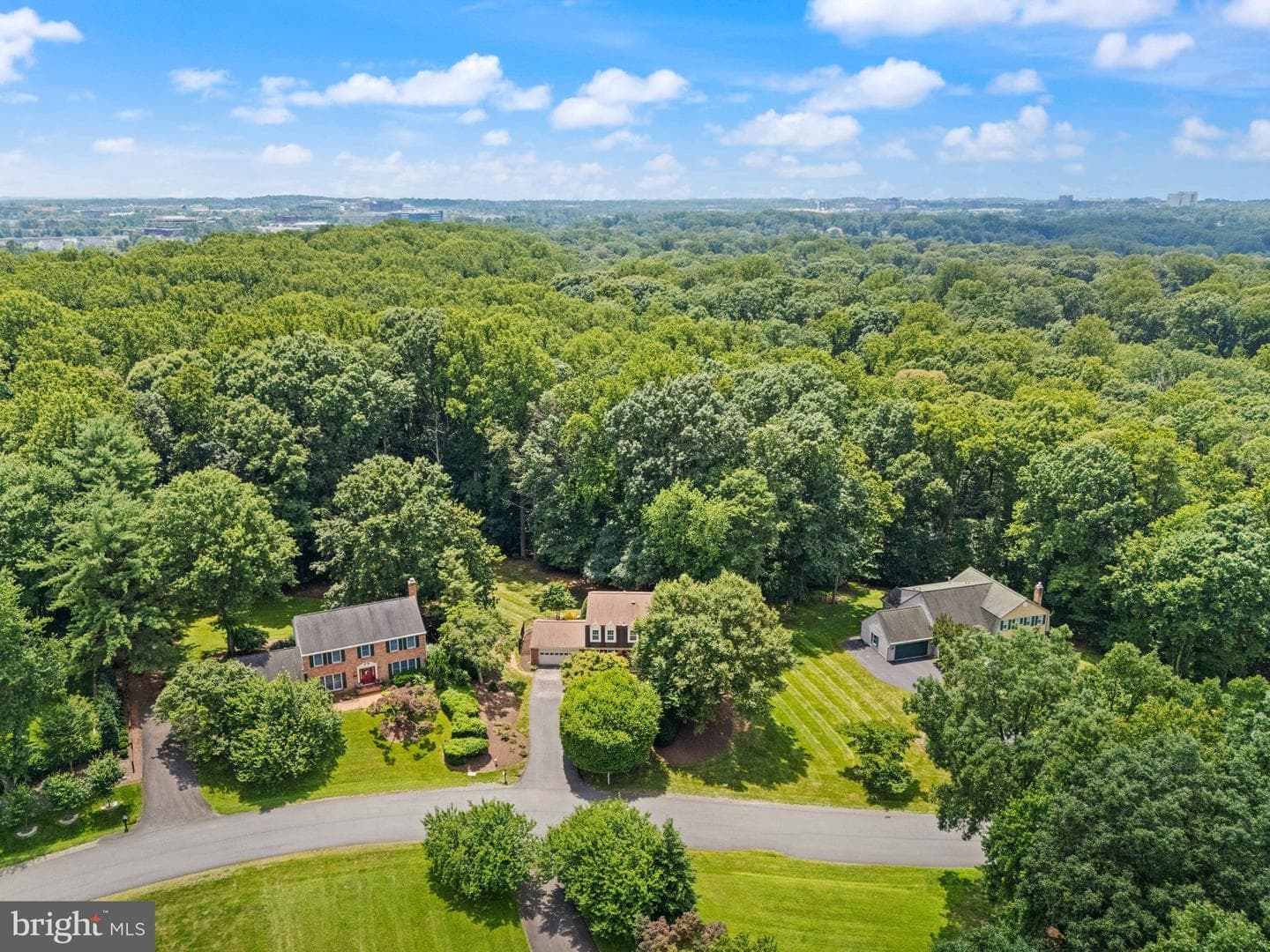 10912 Blue Roan Road photo 103