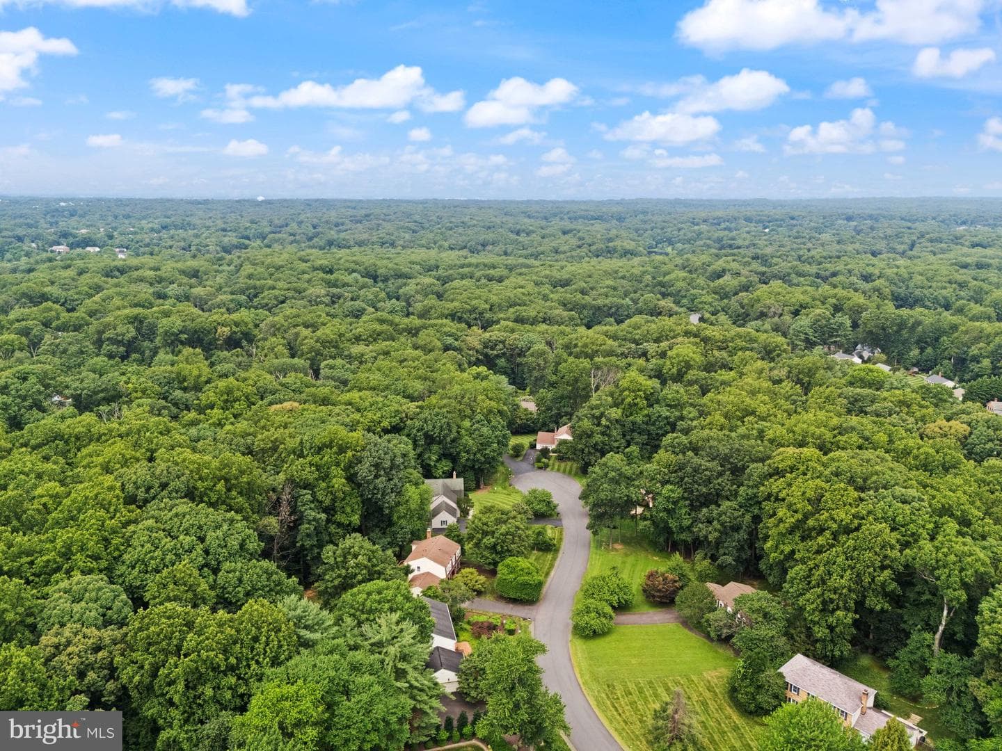 10912 Blue Roan Road photo 104