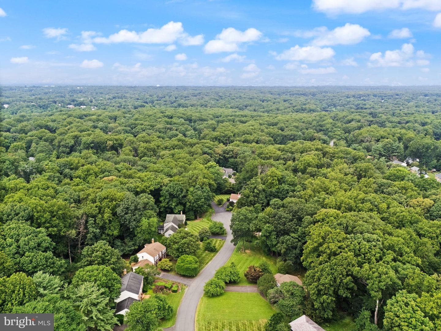 10912 Blue Roan Road photo 106