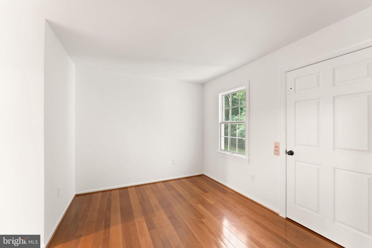 10912 Blue Roan Road photo 53